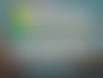 Learning about county government series