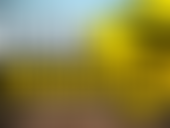 Four state grants to improve internet access in Dunn County