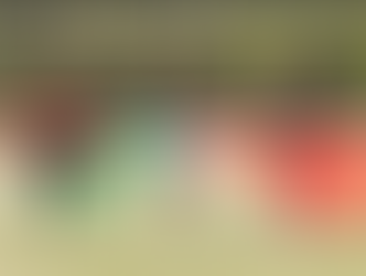 Menomonie High School Soccer Multicultural Night