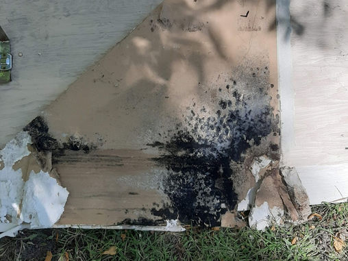 Photos of the mold and water damage/leaks we discovered in our home