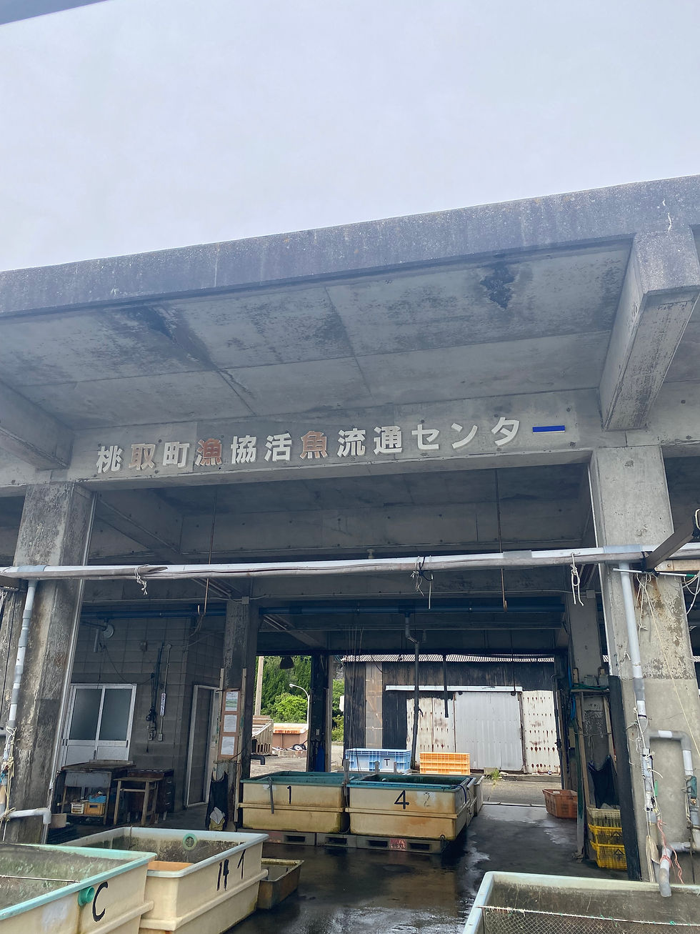 古びたコンクリートの建物に桃取町漁協活魚流通センターの看板があり、水槽や魚箱が並ぶ静かな魚市場