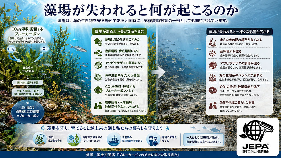海藻の役割を説明する海中インフォグラフィック。左は豊かな藻場と魚、中央は藻場ありの利点、右は消失の影響、上に藻場が失われると何が起こるのかの見出し。JEPAロゴ。