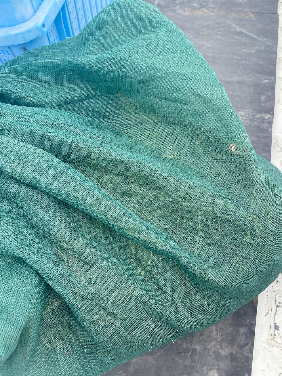 青緑のメッシュネットが大きくかぶさった荷物の上に、左上に青いプラスチック箱が見える、屋外の作業場の一角。