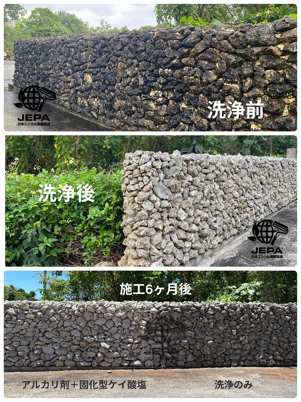 石垣の洗浄前・洗浄後・施工6カ月後を並べた比較画像。黒ずんだ壁が明るい灰色に戻り、周囲は緑の植生。