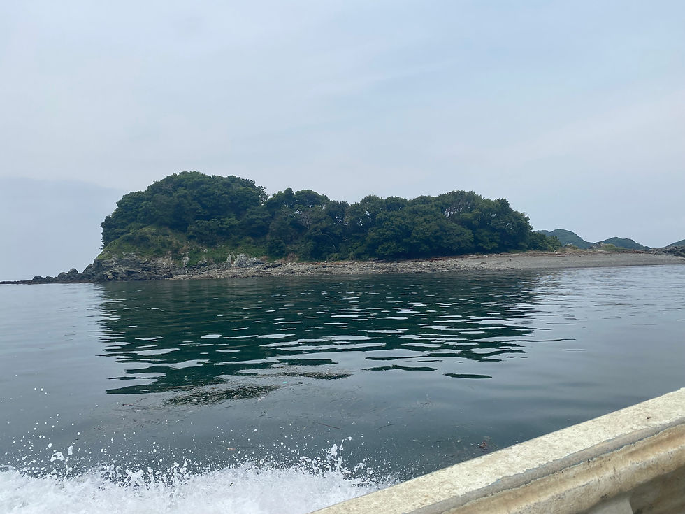 曇り空の海に、緑の木々に覆われた小島が浮かび、手前では船の白い波しぶきが立っている。
