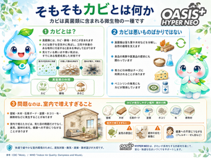 カビはなぜ再発する？湿気・胞子・下地・内装材から考えるカビ対策の基本