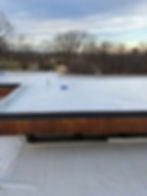 White flat commercial roof with vents, bare trees, and cloudy sky.