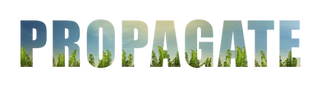 Propage Content Voice over