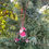 Thumbnail: Christmas tree decorations