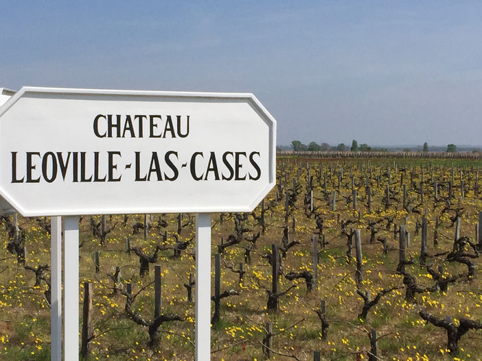 Leoville Las Cases Prices '17 Wine 20% Below 2016 Level, Liv-ex Says