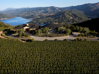 LVMH Buys 60% Stake in Colgin Cellars in Acquisition of Prime Napa Vineyards