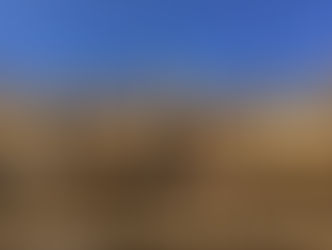 Burgundy Drives Advances on Liv-ex in Past Month