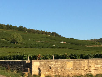 Romanee-Conti Leads Hart Chicago Auction as $7 Million of Wine Is Sold