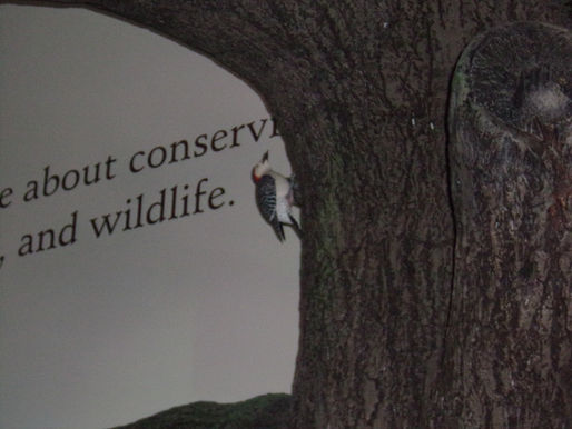 The Eagles have landed . . .