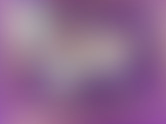 TRAG'S First Meeting for 2017