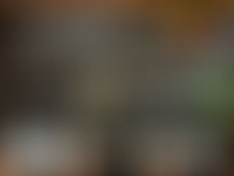 aromatherapy essential oil library