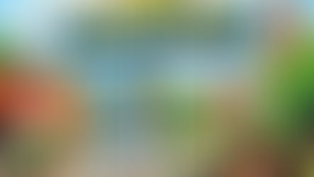 Can you target specific neighborhoods or campuses?