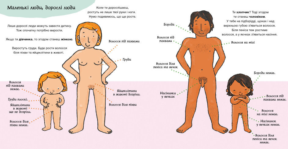 Прев'ю: Звідки беруться діти? Дітям про інтимне. Пауліна Ауд.
