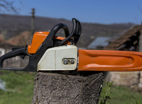 Repairing Stihl Chainsaws: Common Issues, Fixes, and When to Call the Pros