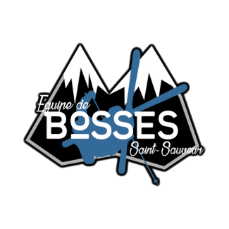 Bosses St-sauveur.png