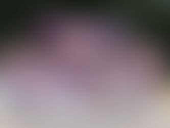 速報!【YBBL 準決勝】
