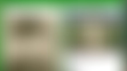 Royal Marines Roll of Honour & War Graves Data Base