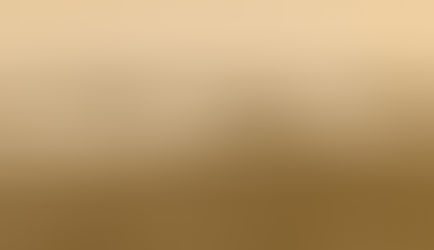 Action on the Vaga - Archangel River Expedition