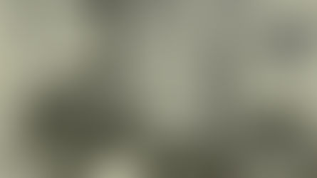 SS Alcantara - Armed Merchant Cruiser Sunk