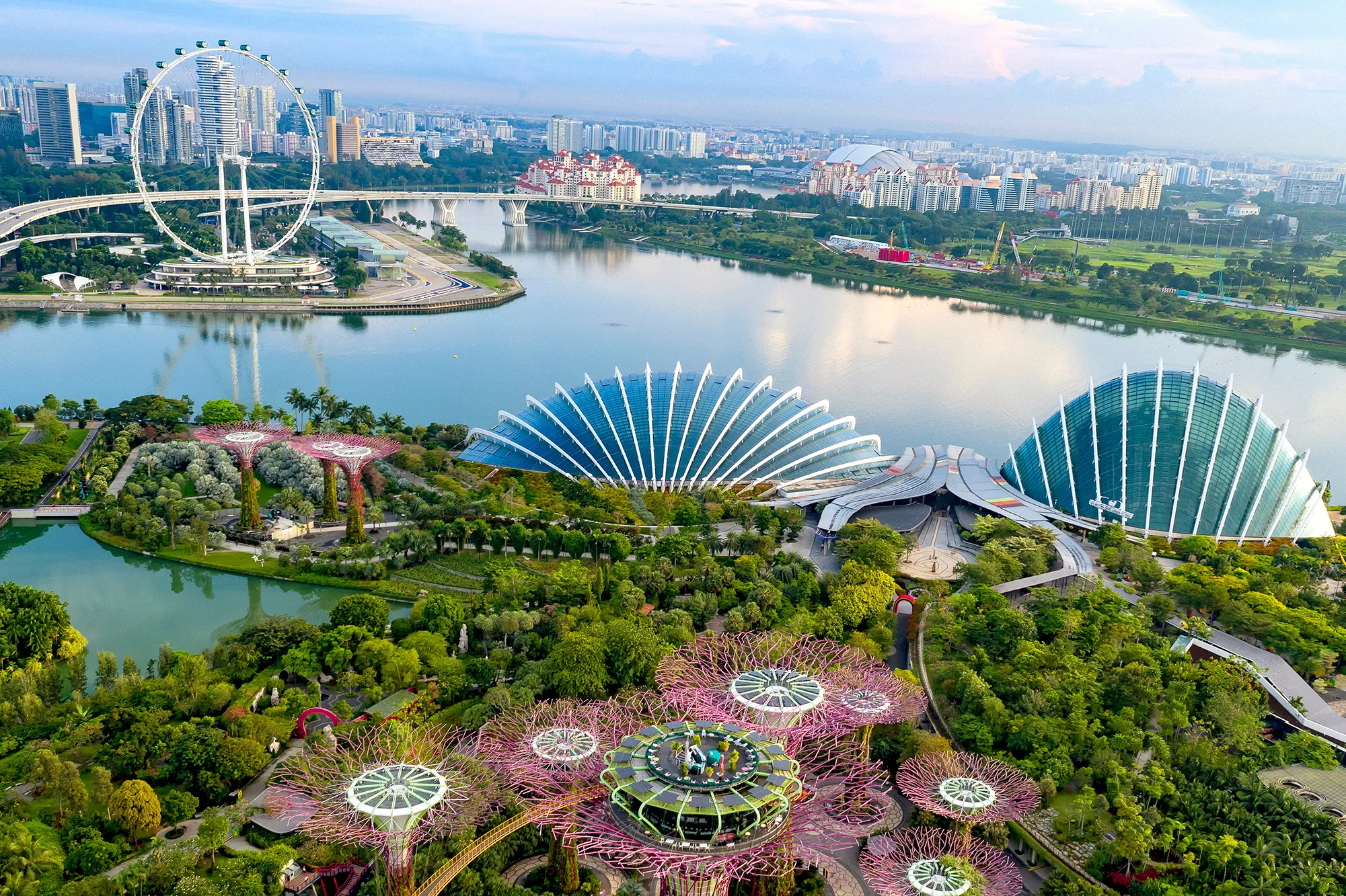 Gardens by the Bay.webp