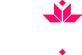 Untitled-1.png