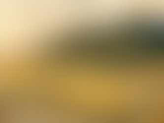 1912년 관악구 2,106필지 6,007,316㎡사사지 3필지 기해박해 성지, 김씨 508필지 1위, 봉천(奉天) 하늘을 받드는 땅