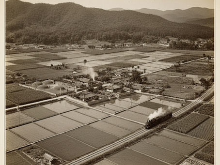 1912년 영등포구 도림동 토지 이용 현황과 그 의미