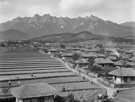 1912년 도봉구 도봉동, 논과 무덤이 숨겨둔 서울의 시간 — 문화재발굴이 밝혀낸 잊힌 마을의 기억