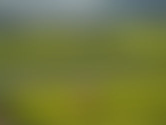 1912년 강서구 공항동 서울 문화유산 시굴조사 표본조사 발굴조사를 위한 기초조사