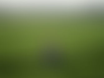 1912년 마포구 동교동 서울 문화유산 시굴조사 표본조사 발굴조사를 위한 기초조사