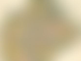 1912년 종로구 신교동 서울 문화유산 시굴조사 표본조사 지표조사 발굴조사를 위한 기초조사