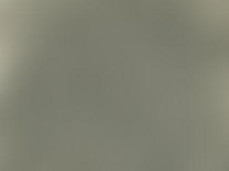 1912년 중구 을지로7가의 땅을 펼쳐보니: 잊힌 도심의 얼굴과 문화재 지표조사로 읽어낸 진짜 이야기