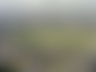 1912년 중구 순화동 서울 문화유산 시굴조사 표본조사 지표조사 발굴조사를 위한 기초조사