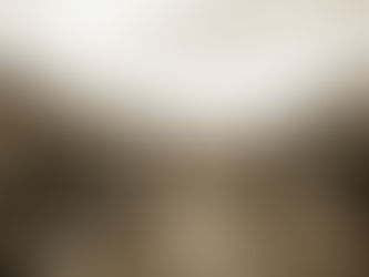 1912년 중구 인현동2가 서울 문화유산 시굴조사 표본조사 지표조사 발굴조사를 위한 기초조사