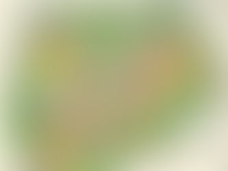 1912년 종로구 명륜동3가 서울 문화유산 시굴조사 표본조사 지표조사 발굴조사를 위한 기초조사