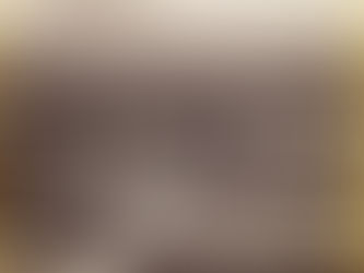 1912년 종로구 연건동 서울 문화유산 시굴조사 표본조사 지표조사 발굴조사를 위한 기초조사