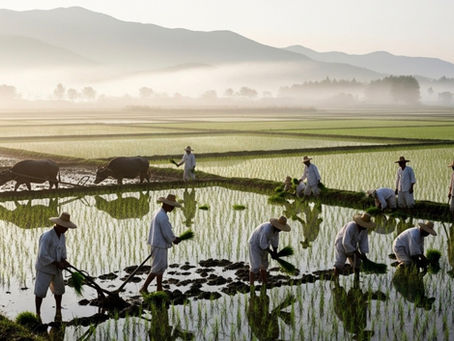 1912년 노원구 월계동의 땅이 들려준 숨겨진 이야기, 지금 서울에서 발굴이 시작된다