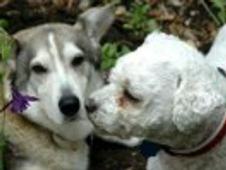 "Angels Come in Many Shapes and Forms"