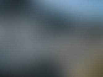 22 April 2022 – Fence and Runner, Tybee Island, Ga.