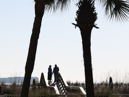 26 April 2022 – Palm Trees, Tybee Island, Ga.