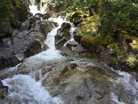 19 March 2025 – Miksang – Flow, Color, and Energy