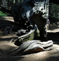 An interview with Dr. Darryl Part 3