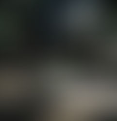 An interview with Dr. Darryl Part 3