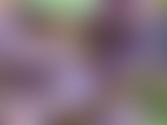 5 May 2025 – Tybee – Miksang – Form