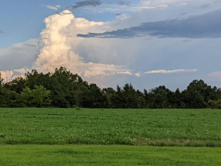 21 August 2022 – Clouds at Farmstrong